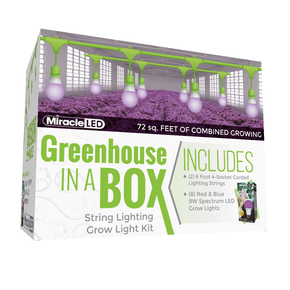 Miracle LED Growing Kit (Set of 2) Miracle LED 