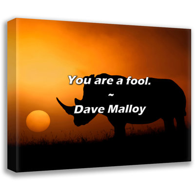Dave Malloy Quote: You are a fool.