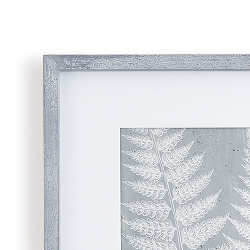 «Michal Fern Frond», ensemble de 3 peintures encadrées