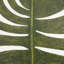 Musa Sapientum Print by Marianne Hendriks-291244646