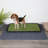 Pet Training Non-Slip Indoor/Outdoor Tray with Reusable Grass Pad