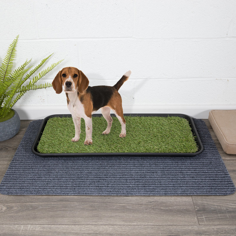 Small Black Rubber and Polypropylene Pet Training Pad
