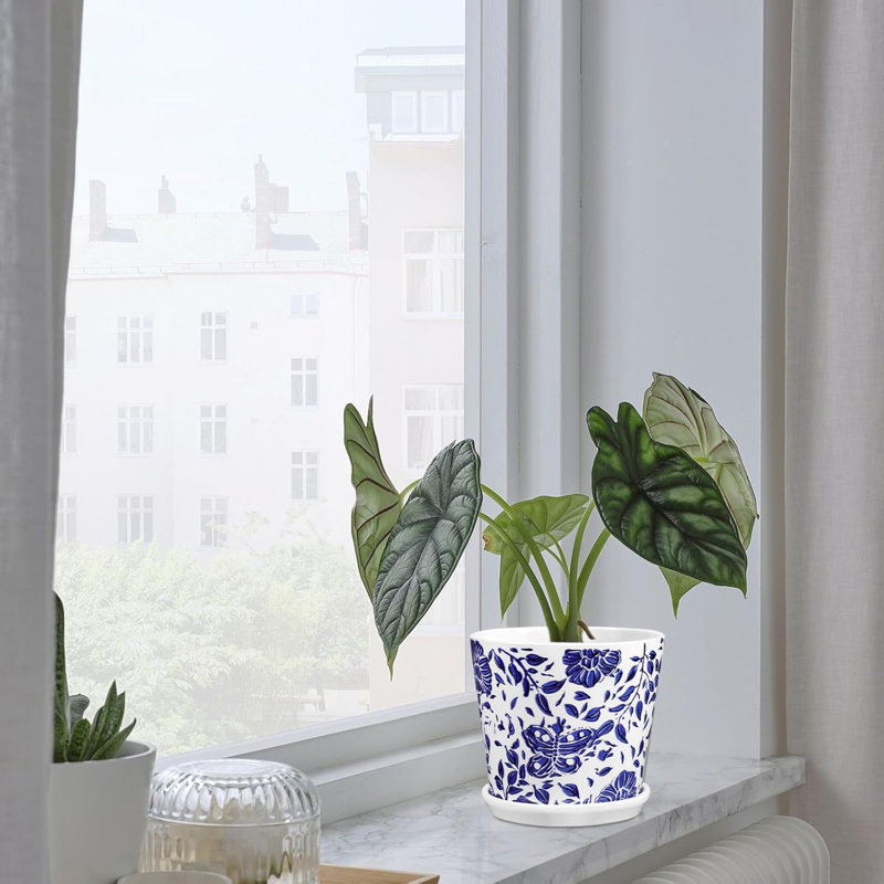 Ensemble de 3 pots à fleurs en céramique bleue et blanche