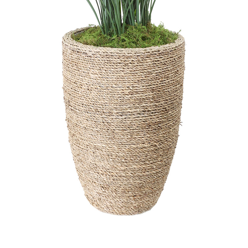Herbe dans un pot à fleurs, Grand