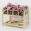 Lit de jardin surélevé en bois de 40 po avec fenêtre en acrylique, fenêtre de 31 po de hauteur avec trous de drainage pour légumes, herbes et fleurs-1046163700