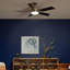 54'' Ceiling Fan with LED Lights-602021721