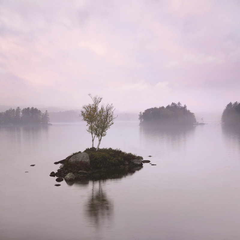 Dockery Tupper Lake In The Rain - Wrapped Canvas Print, 30cm H x 30cm W x 3.8cm D
