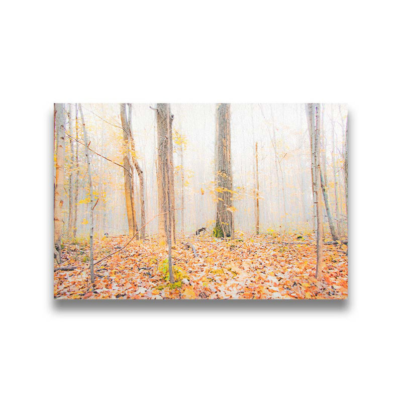 Dans une forêt d'automne par Hal Halli. Toile giclée sur toile avec cadre flottant, H 40 po x l 60 po, Toile tendue