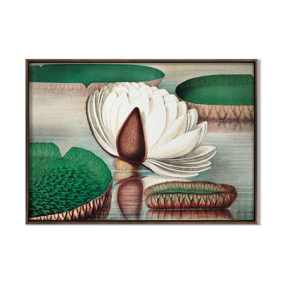 Lilies 1 Print by Grand Archives