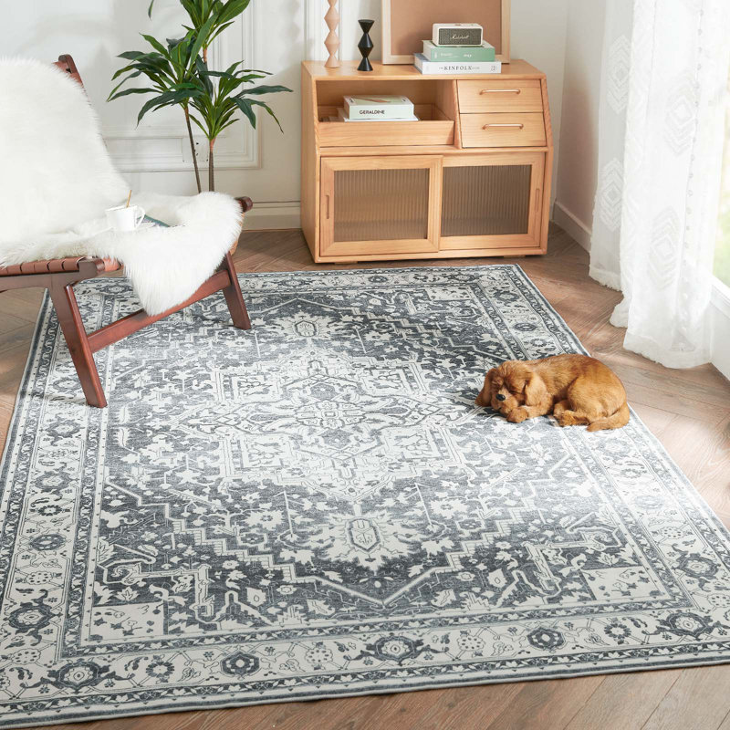 Purrier Chenille Mashine Washable Vintage Indoor Arae Rug with Non-Slip Backing for Bedroom Living Room Kitchen Entryway