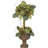Artichoke Topiary