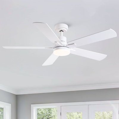 Modern Ceiling Fan with Light and 5 Blades