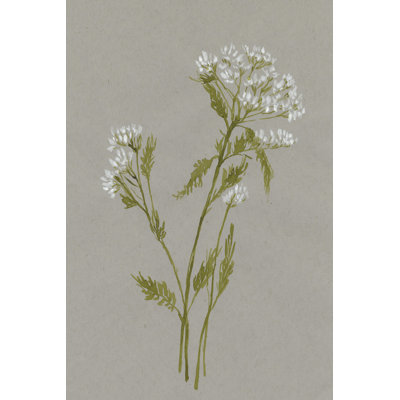 Fleurs de champ blanc III
