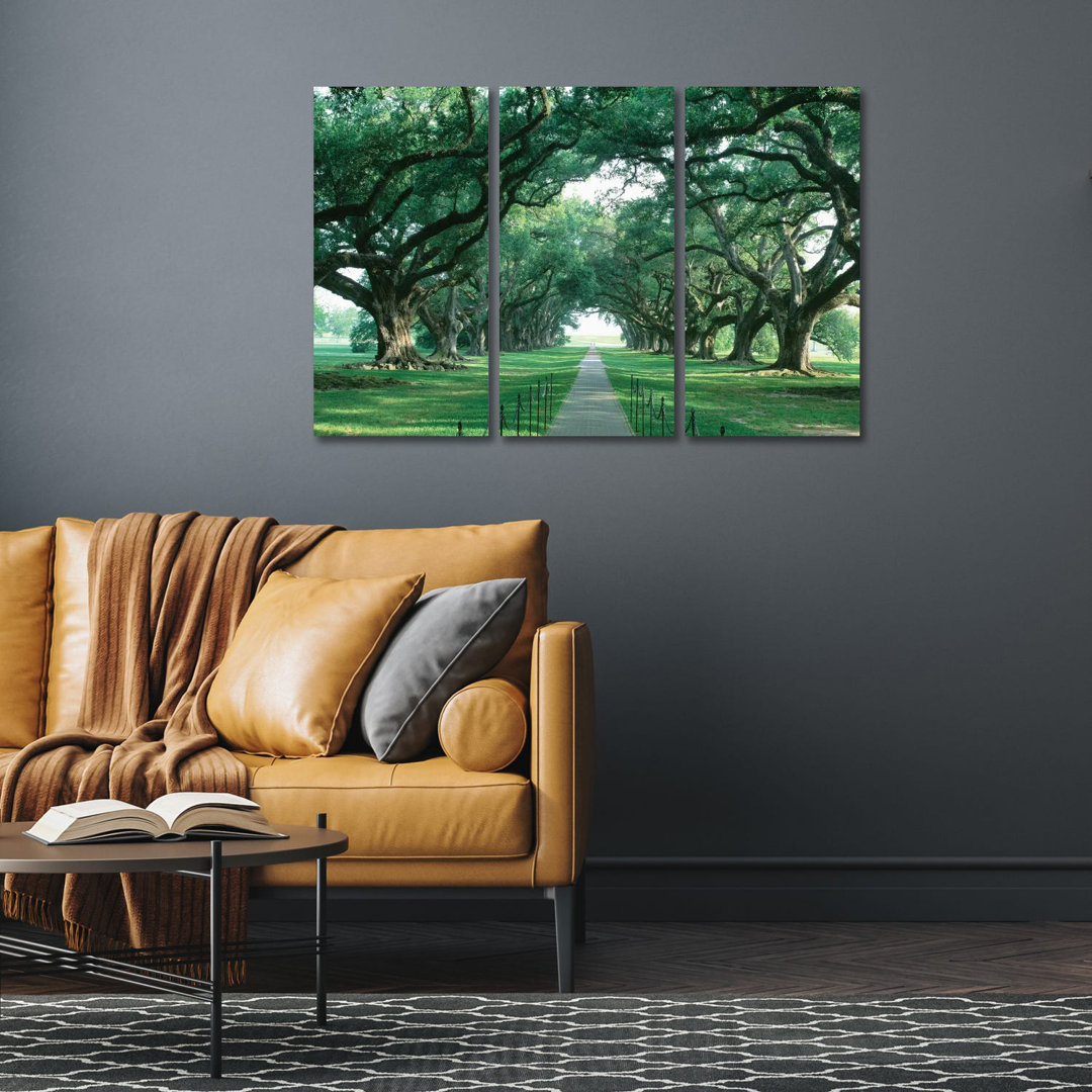 Brick Path Through Alley Of Oak Trees, Louisiana, New Orleans, USA von Panoramic Images - No Frame Gallery-Wrapped Canva...