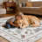 White Butterfly Washable Rug Indoor Carpet-913972181-913972179