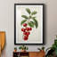 Antique Fruit II, reproduction encadrée de qualité supérieure - prête à être accrochée-781755669-781755672