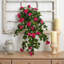 Floraison artificielle-29312105