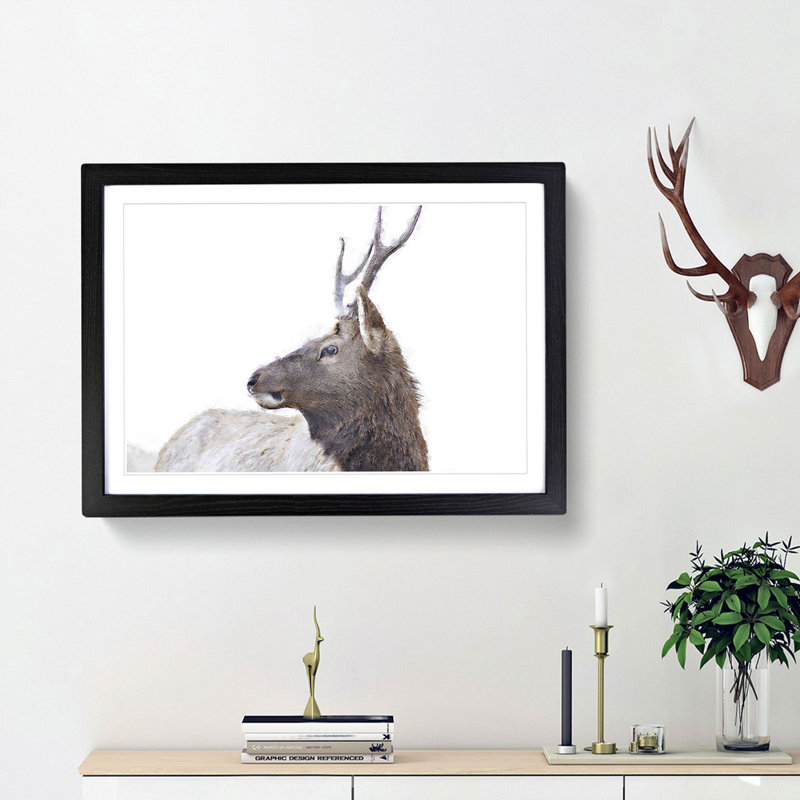 Young Elk - Picture Frame Painting Print, 36cm H x 48cm W x 2cm D, Black Framed