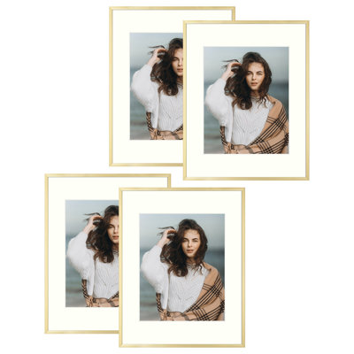 Drennon Metal Picture Frame Set with Mat
