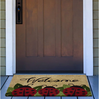 Jalbuena Non-Slip Indoor / Outdoor Doormat