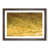 Walnut Framed selected