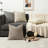 Set Of 4 20X20 Inch Beige Brown Chenille Throw Pillow Covers, Farmhouse Boho Accent For Sofa-124328307