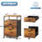 2 Drawer File Cabinet, Mobile Printer Stand With Open Storage Shelf-2114014371