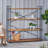 4-Shelf Bookcase
