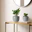 Pots de fleurs en céramique, 13 et 16,3 cm, lot de 2-1474243444