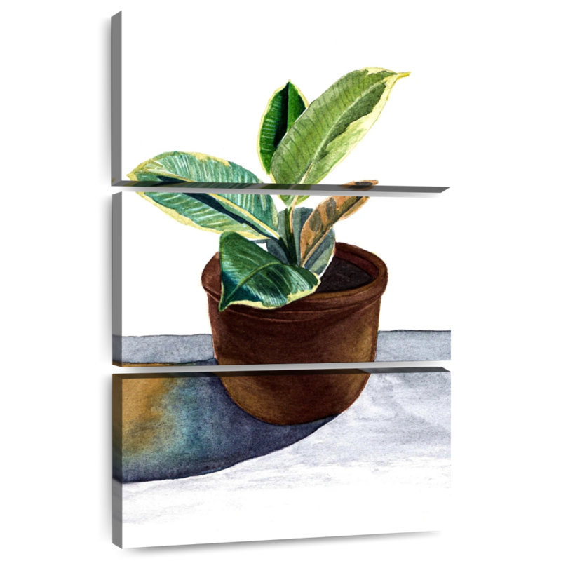 Plante Harnek dans un pot en céramique