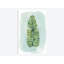 «Paradise Palm Leaves IV», impression sur toile-29282706-74748476-74748481