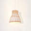 1 - Light Natural Pendant-48292963
