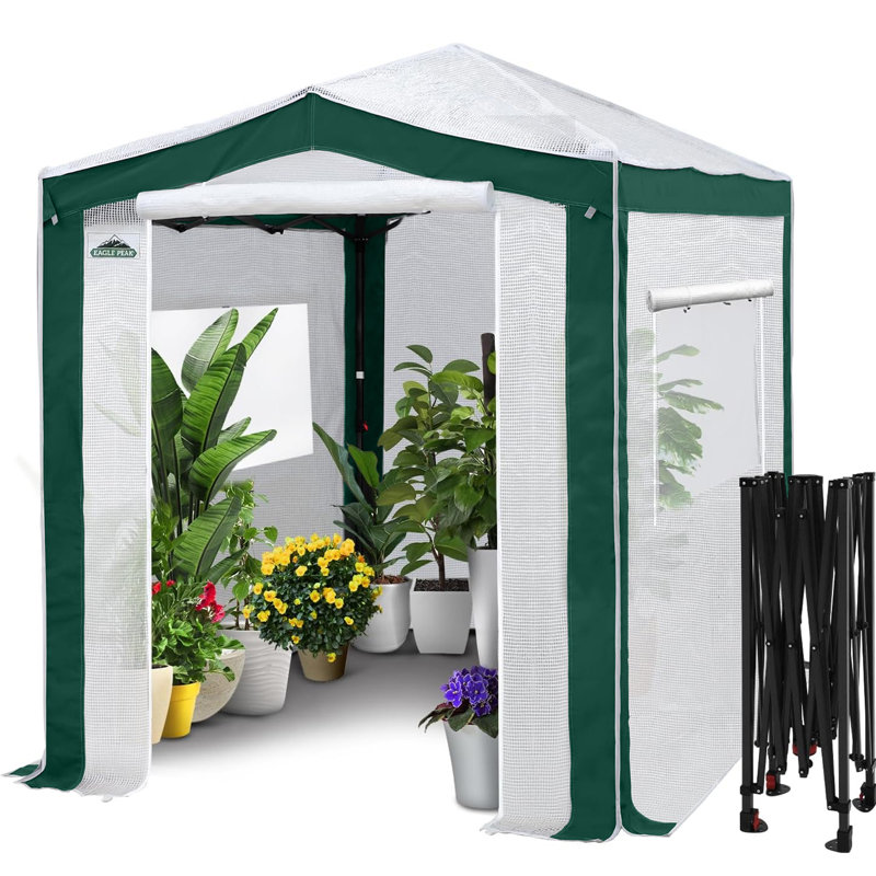 6' W x 8' D Hobby Greenhouse, White/Green