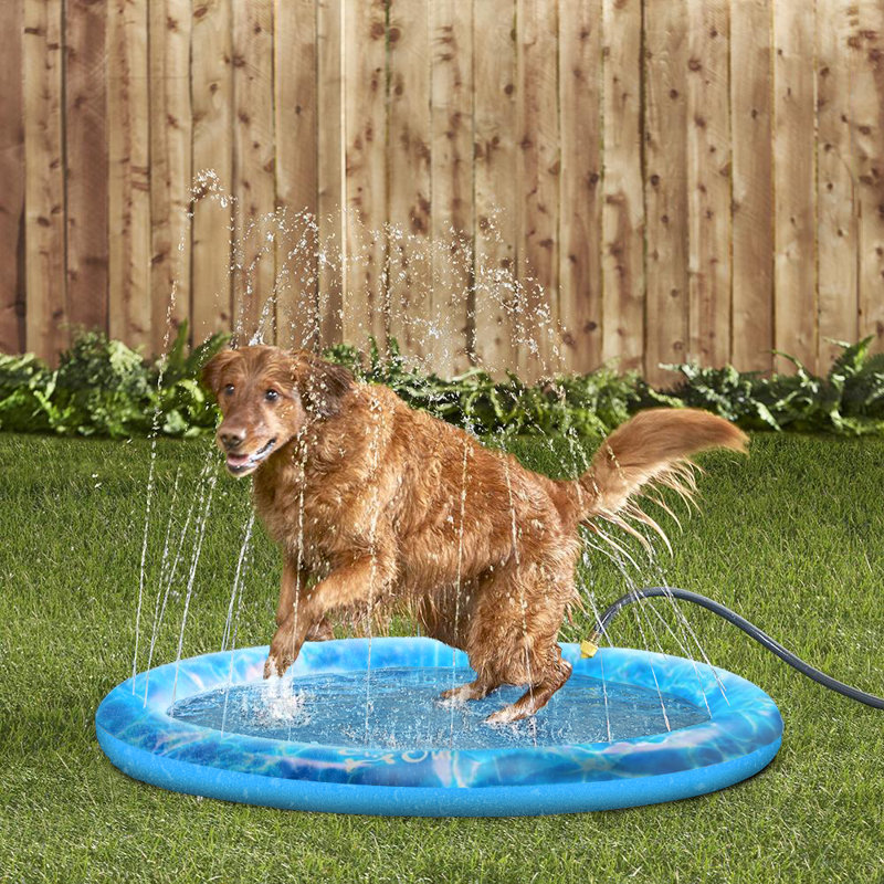 Piscine pour chien Ferit en PVC de 0,04 po Ferit, H 0,04 po x l 59 po x P 59 po