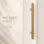 Armoire garde-robe à 2 portes avec tringle et tablettes de rangement, organisateur de placard compact pour petits espaces, appartement et entrée