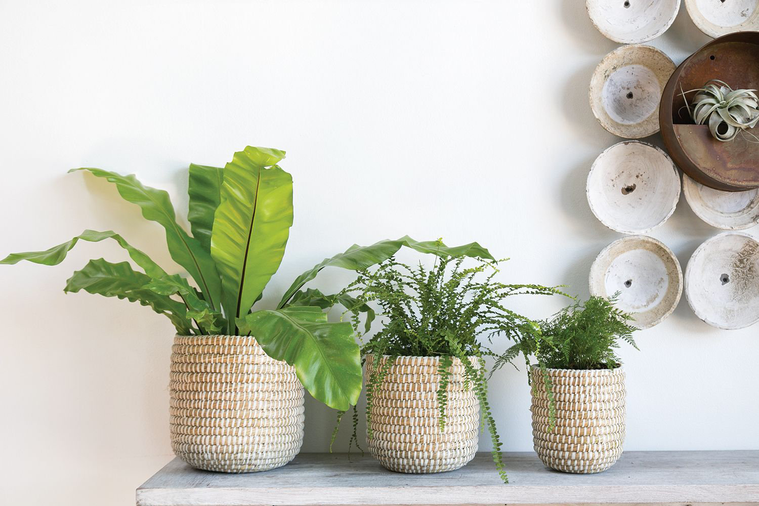 Abbs Pot Planter, 9.75" H x 10" W x 10" D