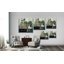 Jade Hoya II - reproduction d'art sur toile-35569522-33348817