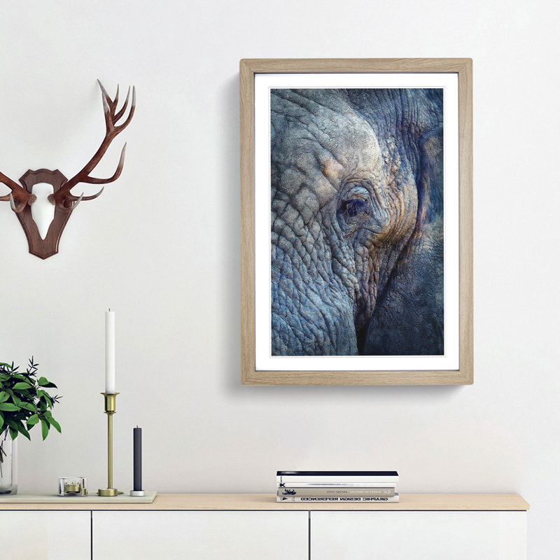 Blue Elephant - Picture Frame Photograph Print, 45cm H x 33cm W x 2cm D, Oak Framed