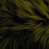 Olive est en rupture de stock