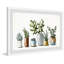 Ornamental Succulents by Marmont Hill - Single Picture Frame Painting-827555252