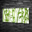 Bamboo - No Frame Print on Glass-152457040-152472546