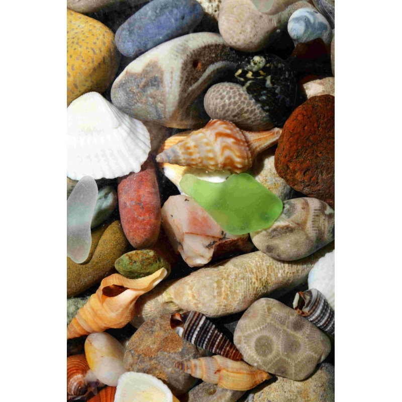 Stones and Rocks and Shells - Photographie sur toile tendue, H 18 po x l 12 po