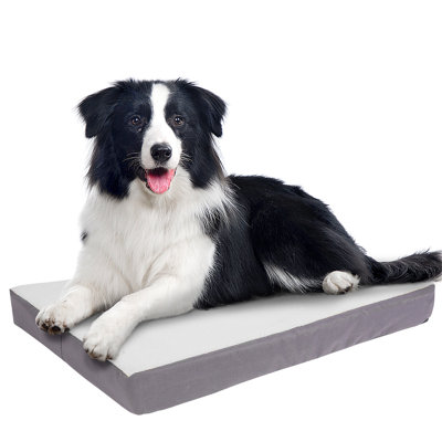 Lit pour chien Carolee