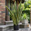 Artificial snake plant 21 variegated leaves fake plant in pot