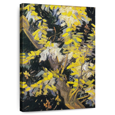 Branches d'acacia Avery Blossoming