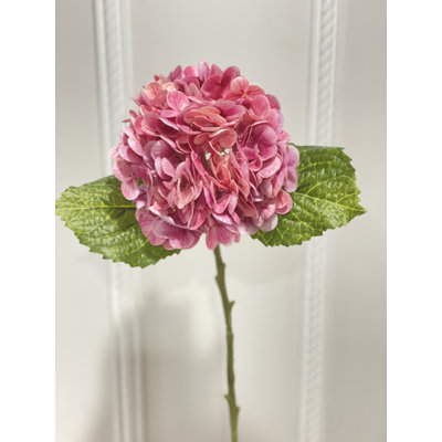 Hydrangea Floral Stems