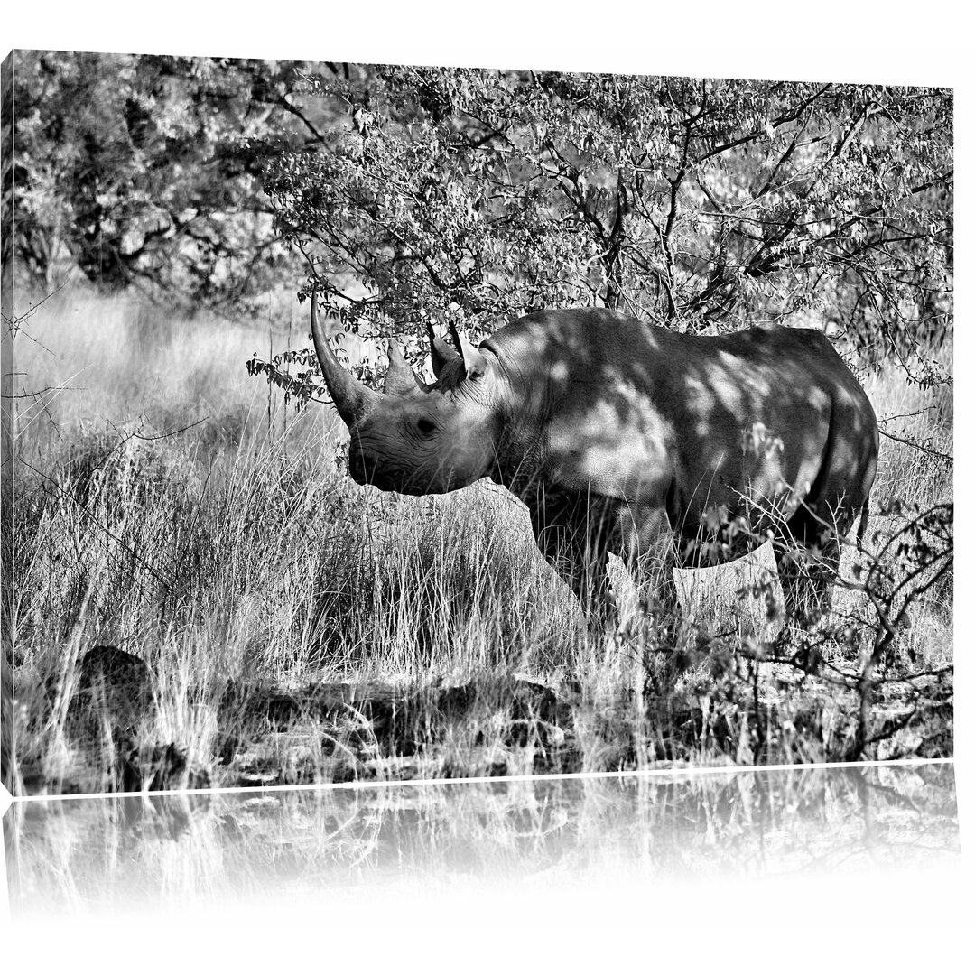 Leinwandbild Nashorn in der Savanne in Monochrom