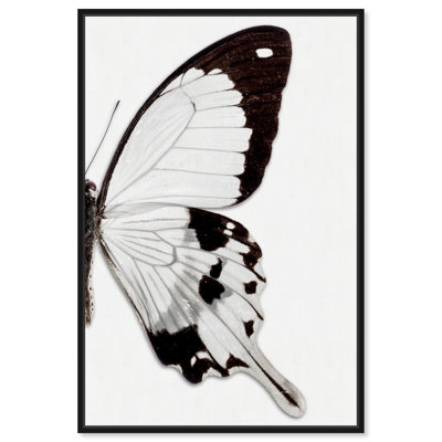 Monochrome Butterfly " Monochrome Butterfly II "