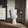 Cimarron® 1.28 GPF Water Efficient Round Two-Piece toilet (Seat Not Included)