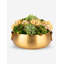 Blaise Succulent Arrangment